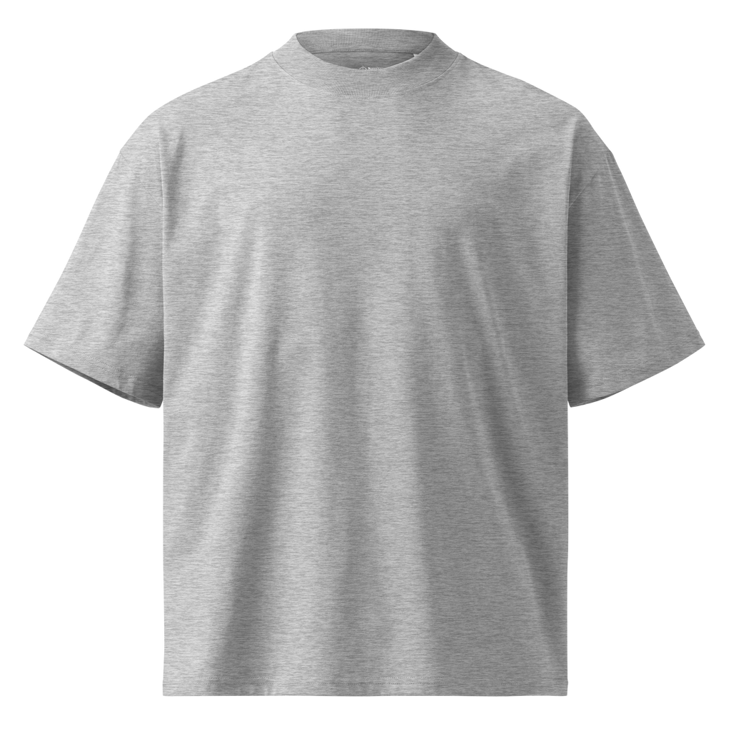 Gray oversized organic t-shirt with solarpunk back print.
